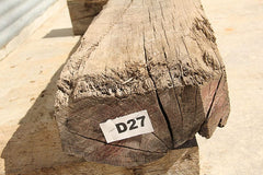Cracked Hardwood Beam D27