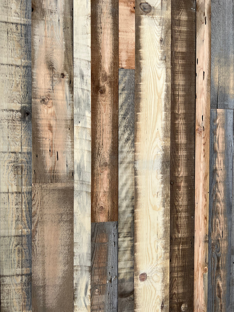Shiplap Knotty & Blued Pine Paneling or Flooring