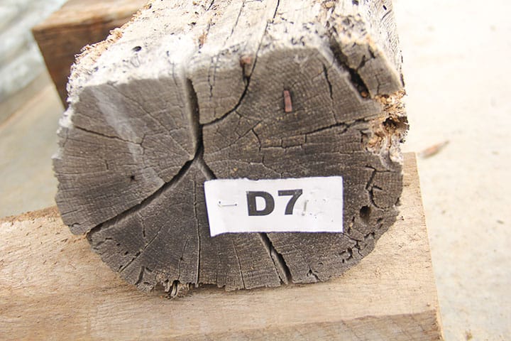 Hewn and Round Live Edge Mantel Chunk D7